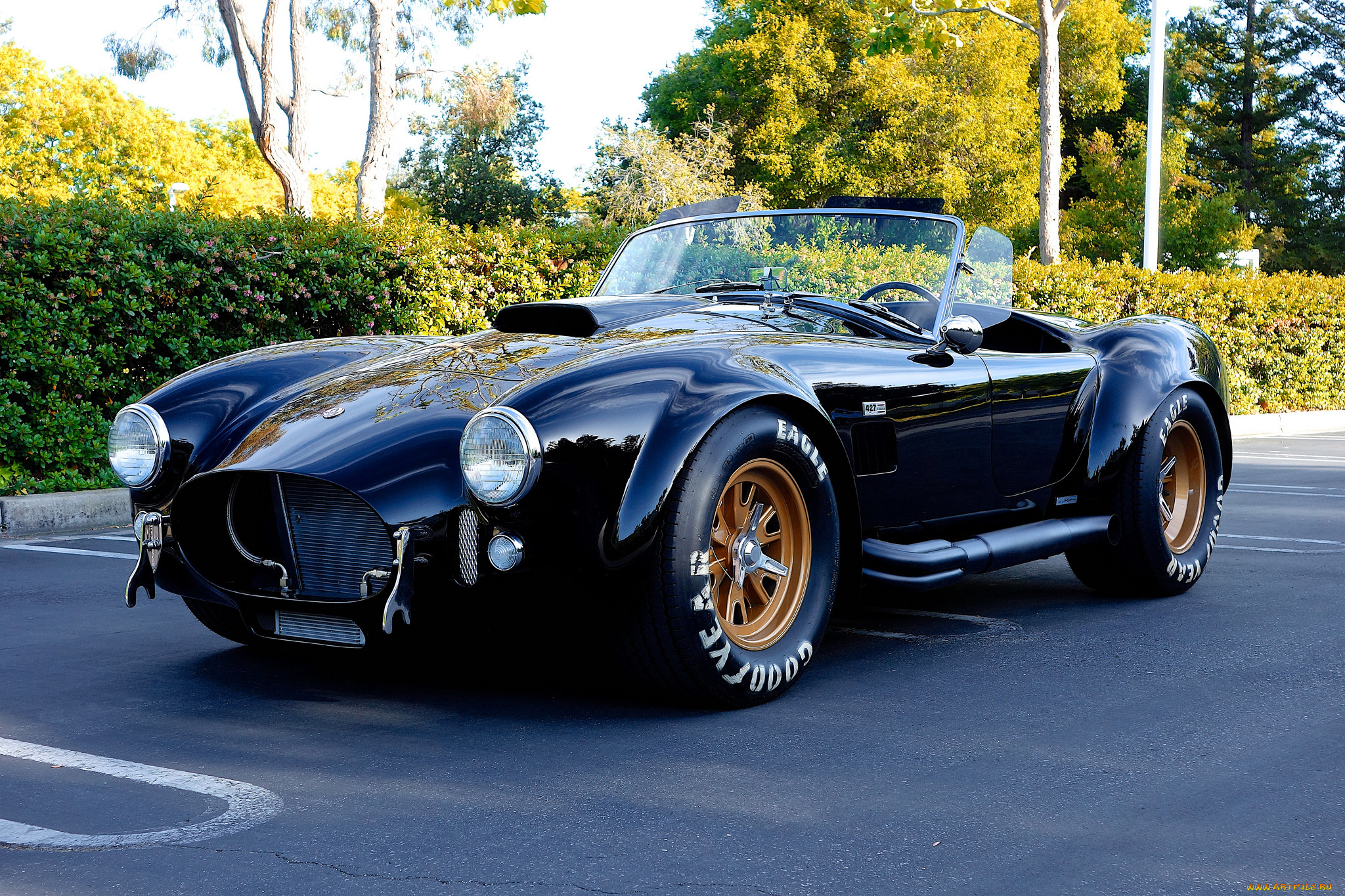 cobra, , ac cobra, shelby, 